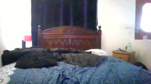 Max online show from February 20, 4:09 am