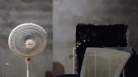 Mcgregor online show from November 13, 2:38 am