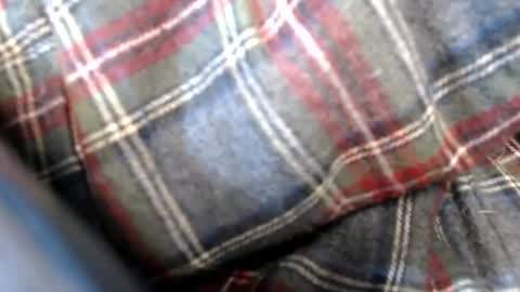 mee9090e900 online show from March 6, 4:37 pm