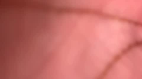 Weloveitall online show from November 5, 5:20 am