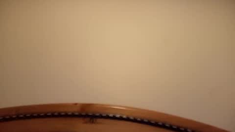 Snapshot of mhorny5 chatting on September 14, 8:44 pm mhorny5 online show from September 14, 8:44 pm