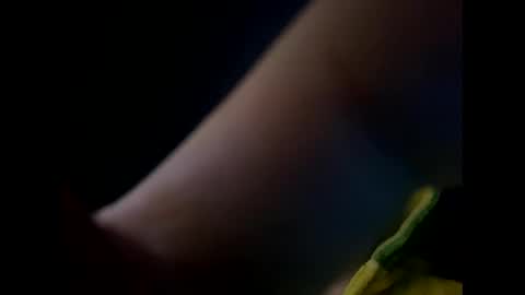 DMCA online show from February 24, 1:34 pm