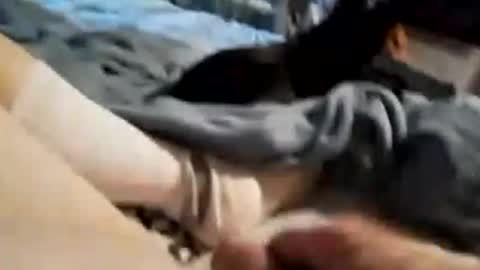 Dick Doctor online show from December 15, 2:14 pm