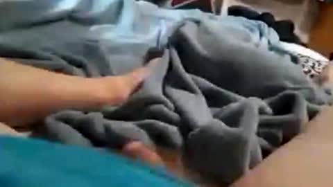 Dick Doctor online show from December 4, 3:30 pm