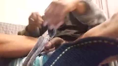 mizerze online show from January 1, 12:00 pm