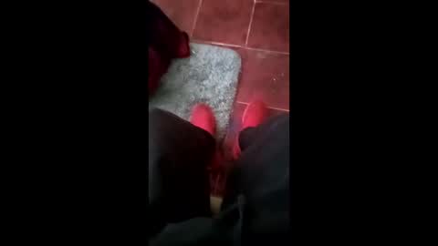 mpajfskjuzcs online show from March 24, 5:29 pm