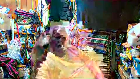 mr_canoe_licker_69 online show from January 8, 8:07 pm