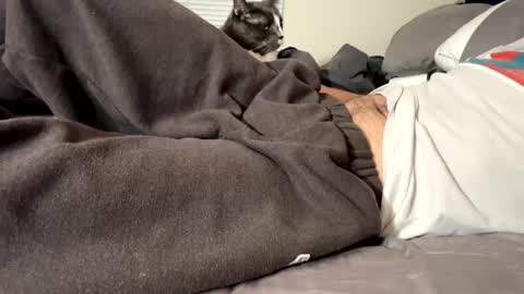 thickdickpnw online show from January 16, 7:49 am