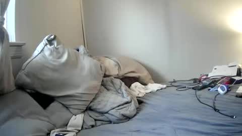 mrjames59 online show from February 14, 12:55 pm