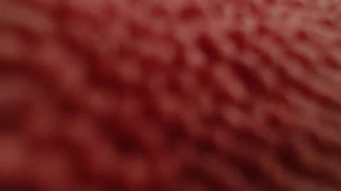 rooster70 online show from April 27, 1:19 pm