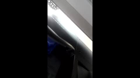 Muriiyarxmagic online show from January 12, 10:52 am