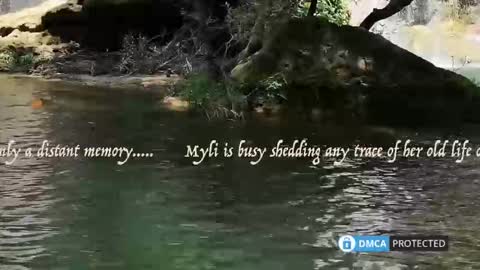 myla_nite online show from November 18, 7:01 am