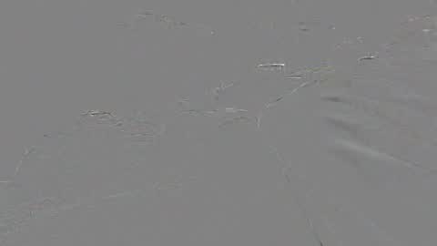 naag_raj online show from February 7, 2:02 pm