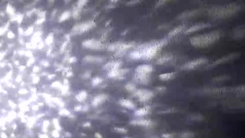 nastysubs69 online show from December 20, 9:49 am