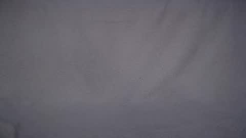 Snapshot of naughtywhisky chatting on March 11, 7:36 pm frisk online show from March 11, 7:36 pm