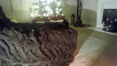 nelssonschmelsson online show from December 15, 12:35 pm