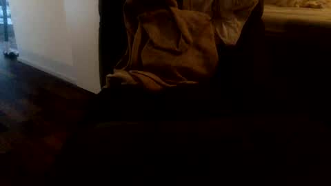 nero177017 online show from December 20, 8:49 am