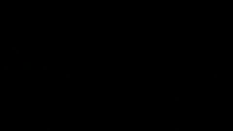 never_forget_this online show from February 14, 2:06 am