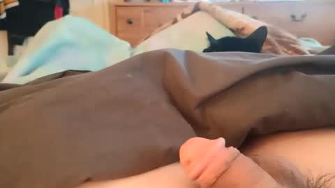 Matt online show from February 24, 6:30 pm