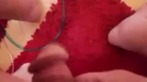 BookWriter online show from December 16, 8:20 am