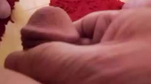 BookWriter online show from January 17, 6:47 am