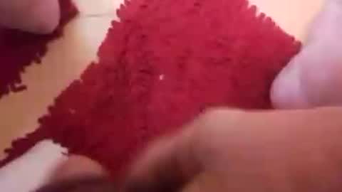 BookWriter online show from January 9, 6:38 am