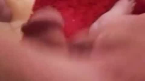 BookWriter online show from March 7, 7:30 am