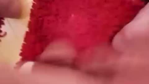 BookWriter online show from February 2, 7:09 am