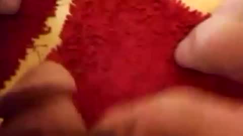 BookWriter online show from December 31, 5:55 am