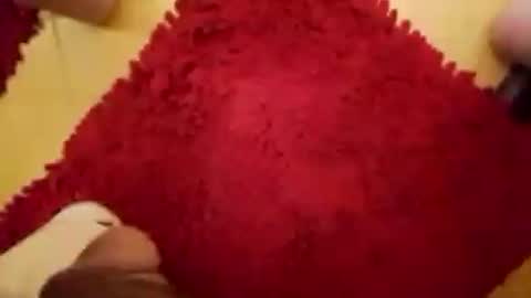 BookWriter online show from December 12, 7:30 am