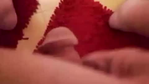 BookWriter online show from December 26, 6:30 am