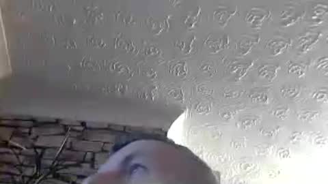 nice_cock8080 online show from July 31, 11:25 pm
