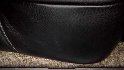 nick12989 online show from December 17, 6:31 am