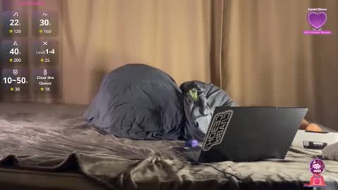 nikgive online show from April 26, 6:16 pm