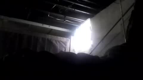 Snapshot of nillapuddin2 chatting on February 2, 2:24 pm nillapuddin2 online show from February 2, 2:24 pm