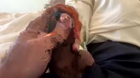 nnm110 online show from January 14, 10:06 am