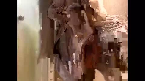 nnm110 online show from January 16, 5:21 am