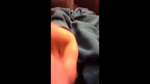 nuttonyou12 online show from March 22, 11:59 am