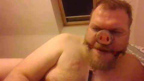 obesepervpiggy89 online show from January 18, 2:02 am