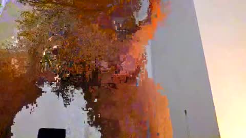 packer84 online show from March 8, 1:47 am