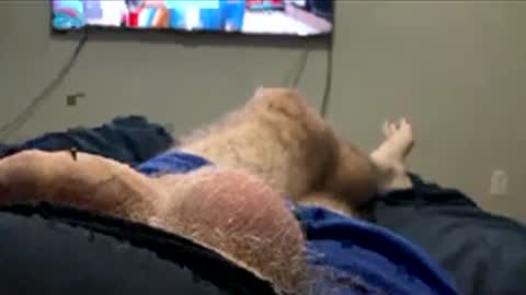 ojeremiah1961 online show from February 26, 4:36 am