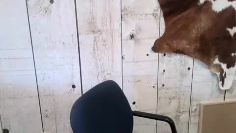 Snapshot of openmindedcowboy chatting on November 1, 3:16 pm kinkynerd online show from November 1, 3:16 pm