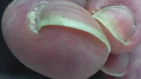 Snapshot of pablomenesssl chatting on February 2, 12:40 am Pablo Meness online show from February 2, 12:40 am