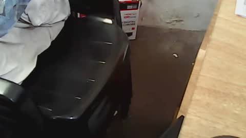 pareja201722 online show from December 14, 7:46 pm