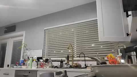 Pavone splash online show from December 21, 12:29 am