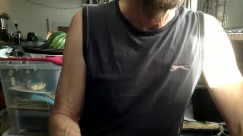 pea23 online show from June 2, 8:15 am