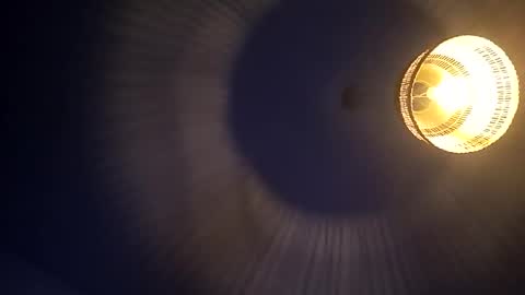 penesvoladores92 online show from March 1, 9:03 pm