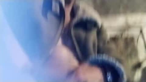 pepegrillo20209 online show from January 3, 8:21 am