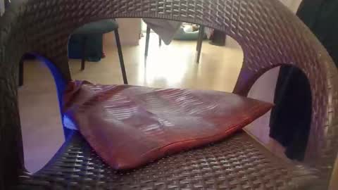 peta000007 online show from November 24, 11:11 am