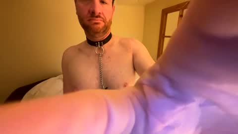 Pete online show from February 12, 10:35 am